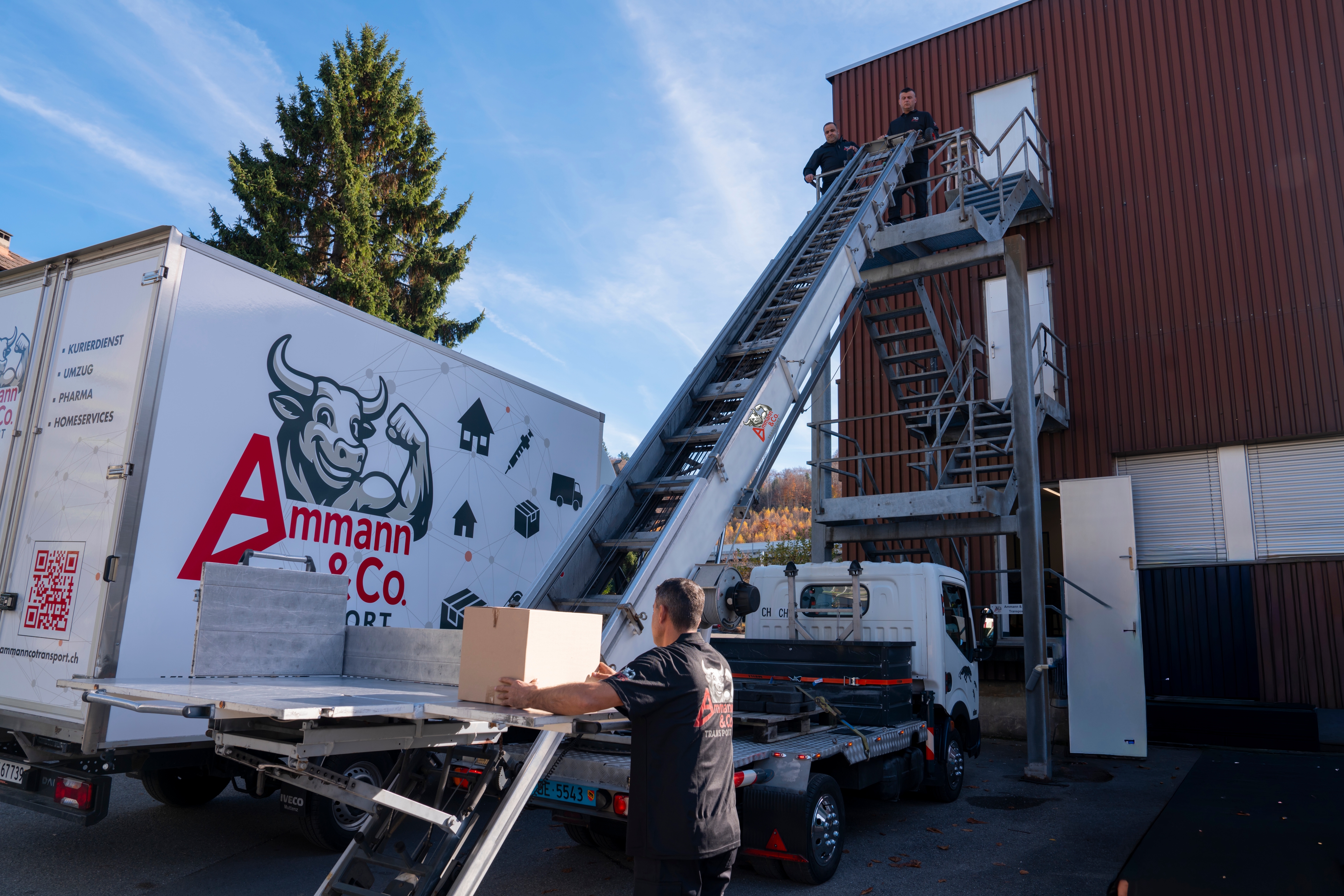 Ammann & Co. Transport Truck in Tunnel