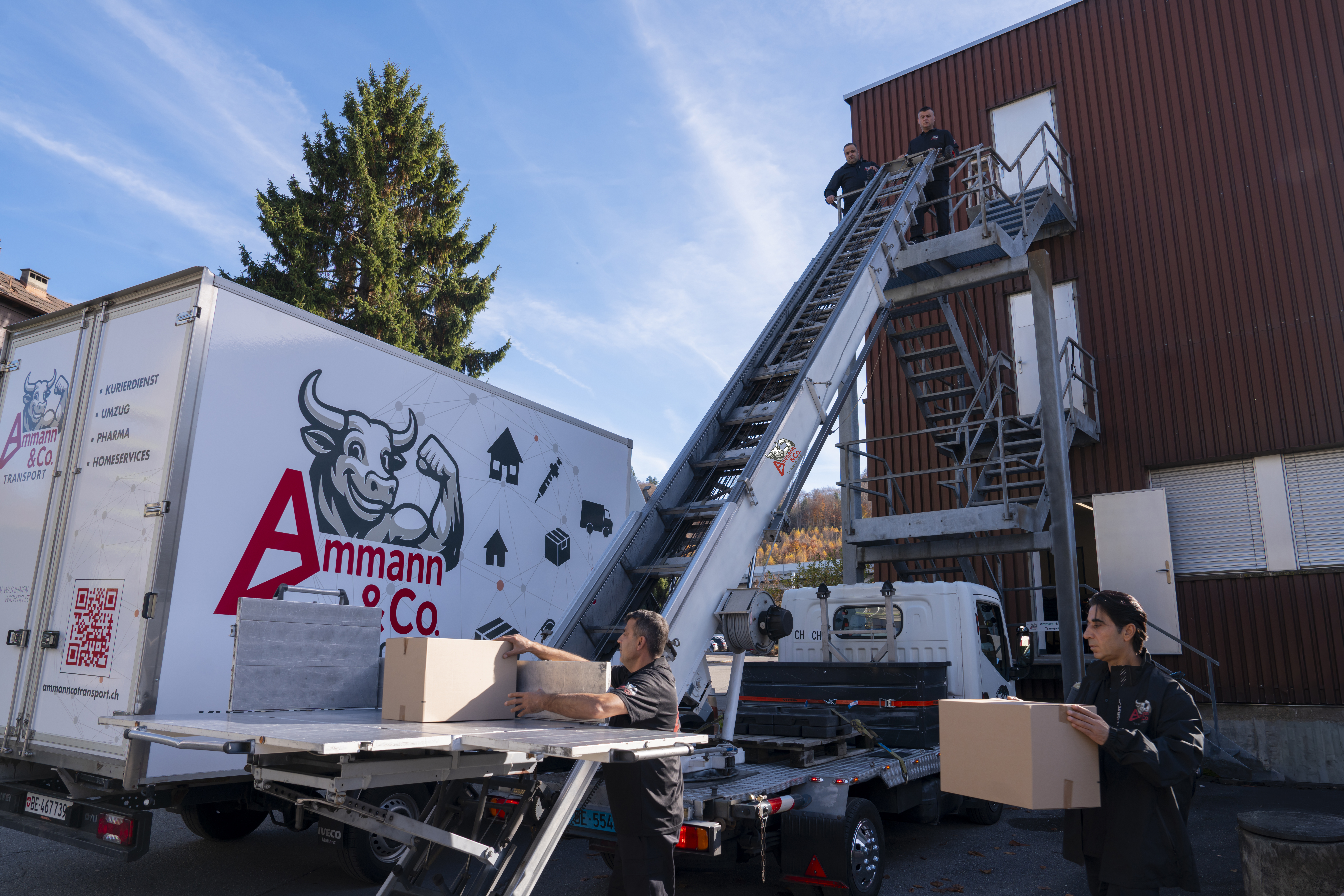 Ammann & Co. Transport Loading Dock